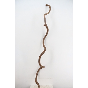 Liana Tarzan small 200cm