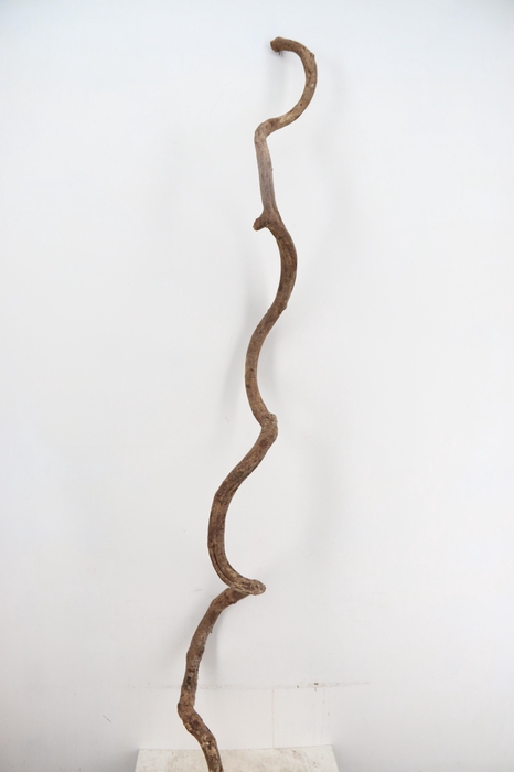 Liana Tarzan small 200cm