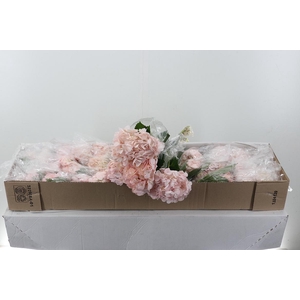 Hydr Blush Pink Tinted Select Box