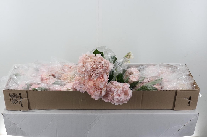 <h4>Hydr Blush Pink Tinted Select Box</h4>