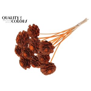 Pine cone cut 5-7cm on stem Orange