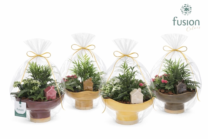 <h4>Keramiek schaal Large met Arrangement</h4>