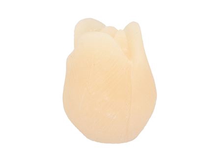 <h4>Candle Tulip Ivory 9x11cm Nm</h4>