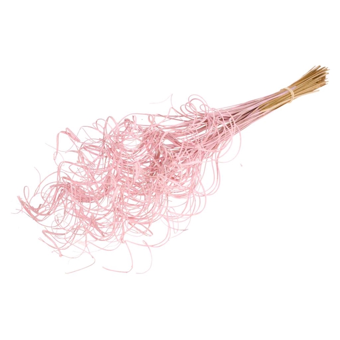 <h4>Curly Ting Ting (palm) 100pc Pink Misty</h4>