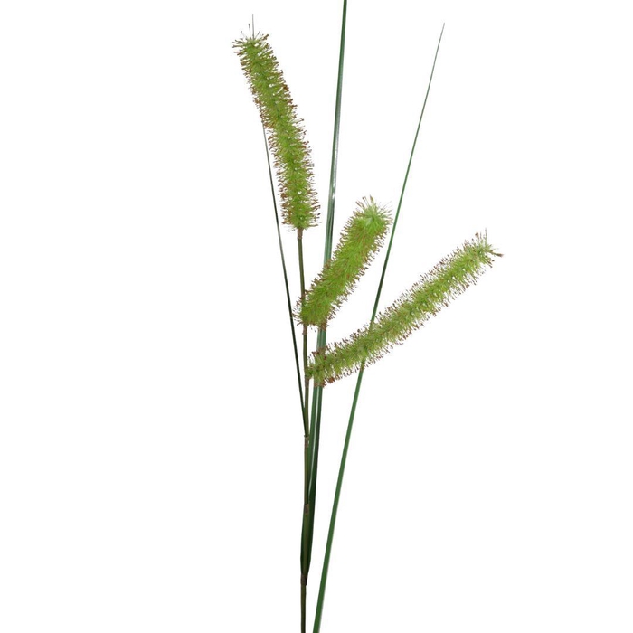 <h4>Artificial flowers Carex Long Spiculate 132cm</h4>