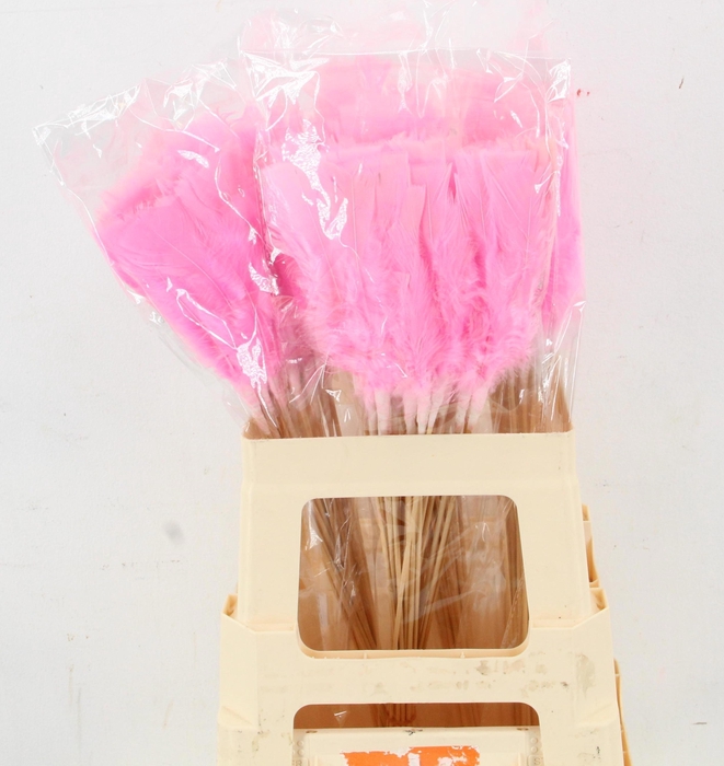 <h4>HUIS EN TUINDECO H%</h4>