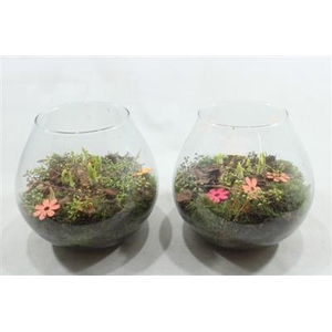 4496 Xl Bolglas Tete