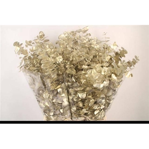 EUC CIN KLB P BOS H%