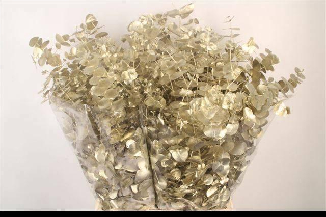 <h4>EUC CIN KLB P BOS H%</h4>