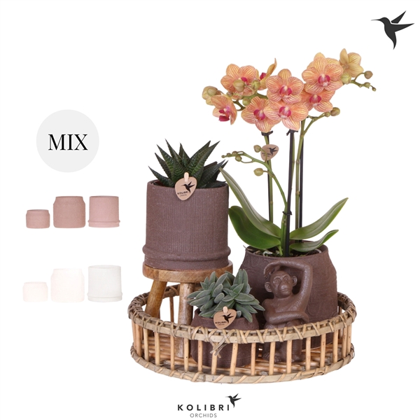 <h4>Kolibri Gift Set Ethnic</h4>