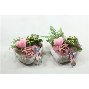 2291 ROZE BETON HART