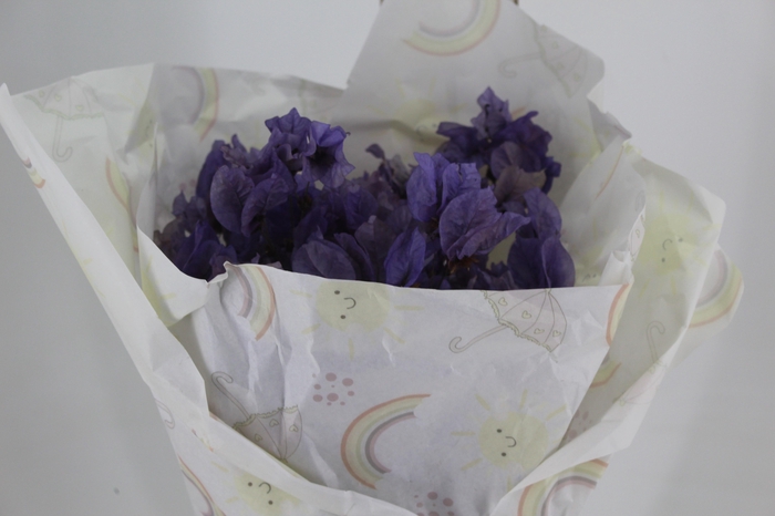 <h4>FLOR DE PRIMAVERA DESIDRATADA LILÁS</h4>