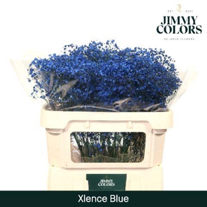 Gyps Xlence L70 Blue