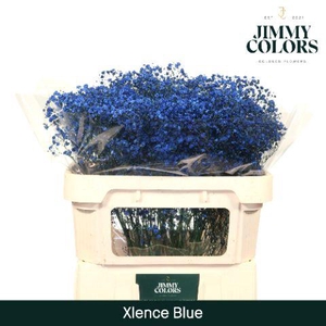 Gyps Xlence L70 Blue