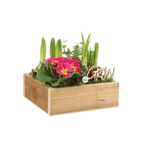 11321: Outdoor spring arrangement