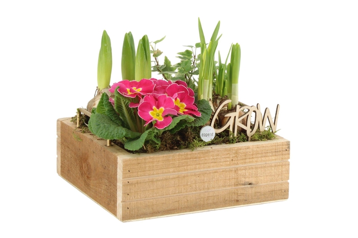 <h4>11321: Outdoor spring arrangement</h4>
