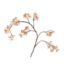 Corallo Berry Spray Orange LV330083ORA