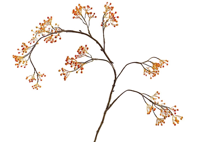 <h4>Corallo Berry Spray Orange LV330082ORA</h4>