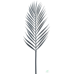 SILK FLOWERS - PALM LEAF SPRAY BLACK 64CM