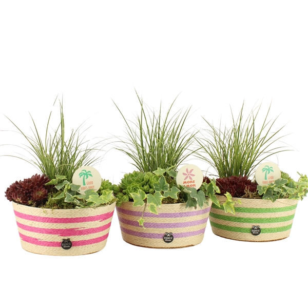 <h4>31603: Outdoor summer arrangement</h4>