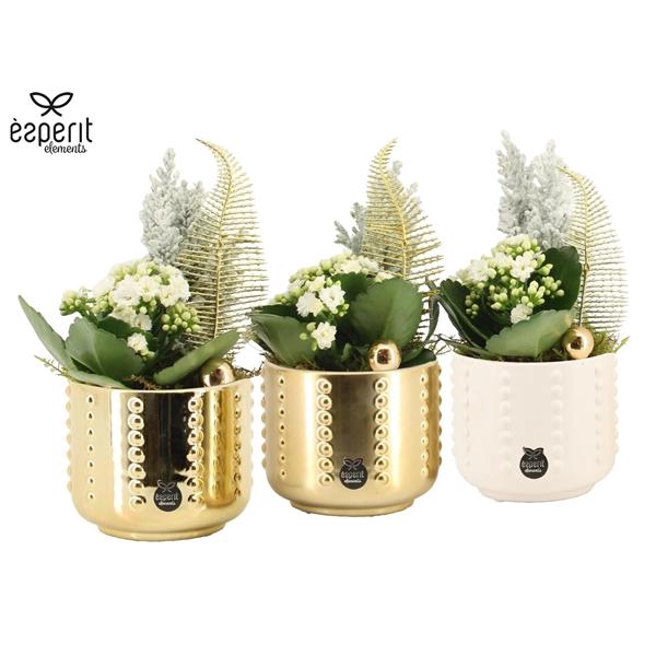 <h4>Arrangementen Kerst 6%</h4>