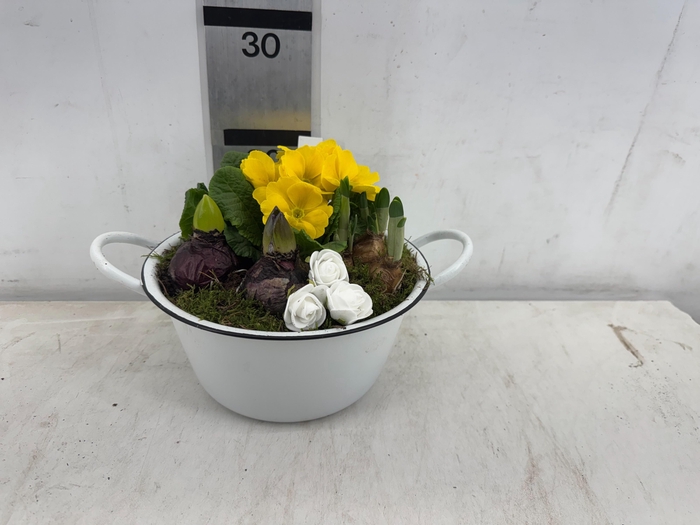 <h4>ARR PL IN SCHAAL</h4>