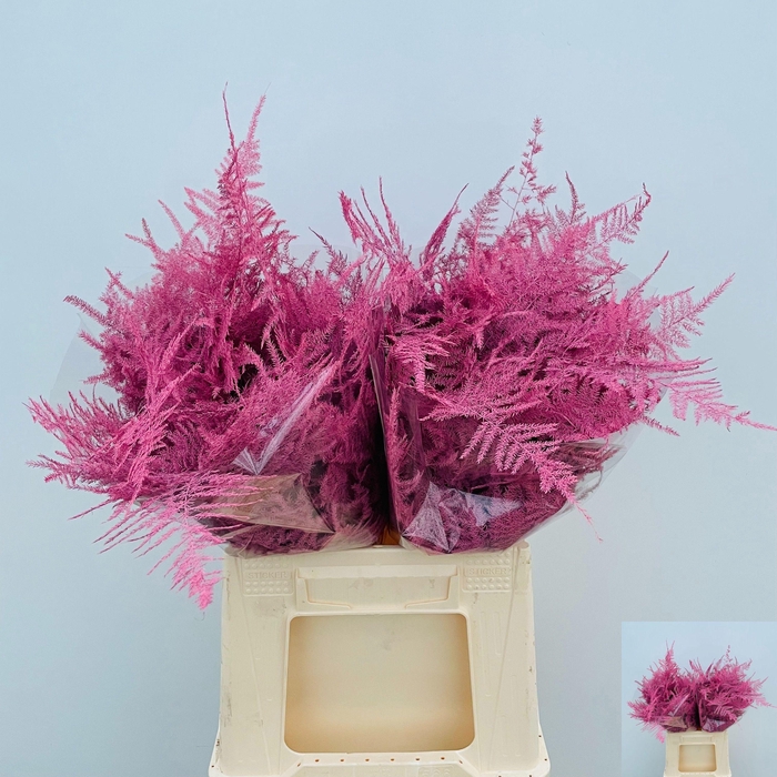 <h4>ASP OV KLB H%</h4>