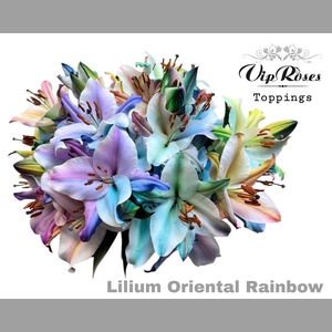 LI OR RAINBOW