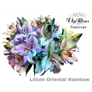 LI OR RAINBOW