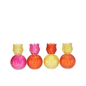Bicolore Dutch Orange Mix Tulip T-light Ass 11x17cm
