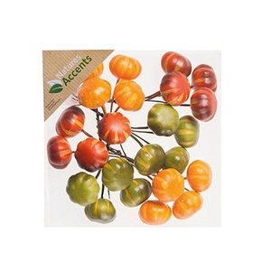 Herfst Pompoen/draad d3.5cm x24