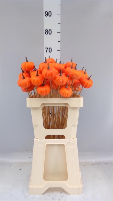 <h4>Decoratieve materialen   ...H%</h4>