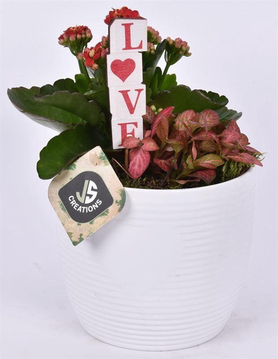 <h4>Keramiek ribbelpot en hart wit 13cm</h4>