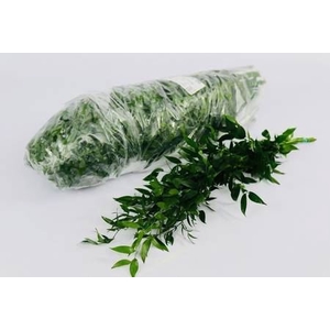 ŽAL SOFT RUSCUS