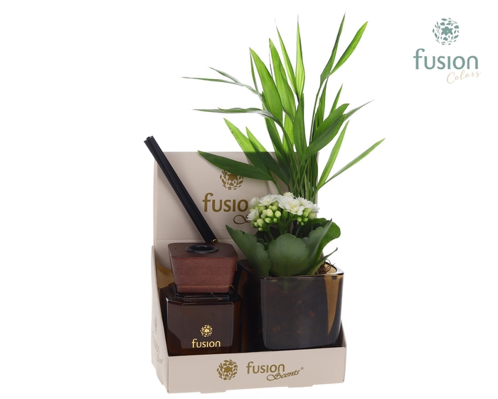 <h4>Glazen pot geurstok groen met Arrangement</h4>