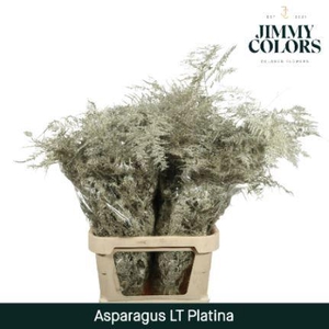 Aspa lang getopt + glitter Platina + glitter