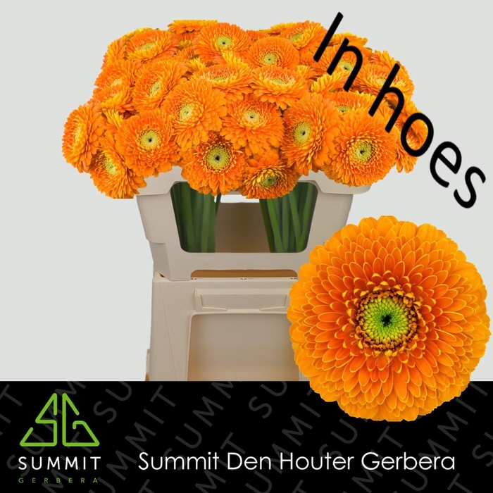 <h4>GE MB RAJARAJA</h4>