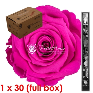 60cm Stem Pin07 Bulk