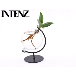 Clusia in Victoria glas