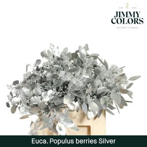 Pop bes per bos 200g Silver