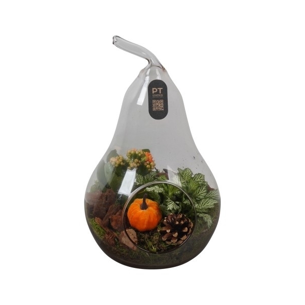 <h4>PTHG3414 Arrangement Autumn Glass in glas peer</h4>