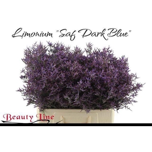 Lim Saf Dark Blue