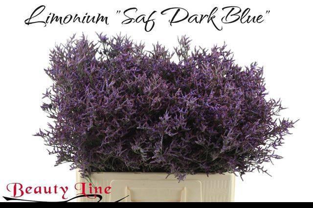 <h4>Lim Saf Dark Blue</h4>