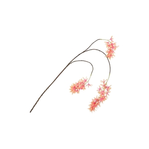Silk Wisteria Peach 93cm