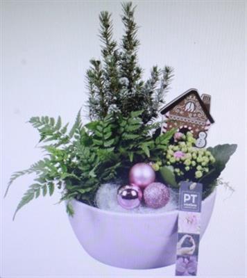 <h4>3515 ROZE KER ROND</h4>