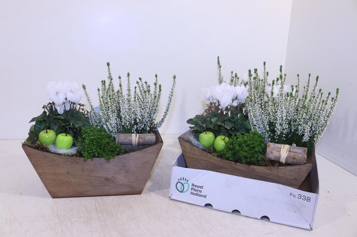 <h4>ARR TUINPLANTEN</h4>