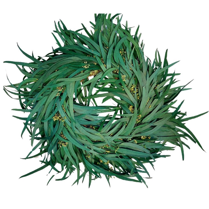 <h4>Preserved Wreath d35cm Eucalyptus Berry</h4>