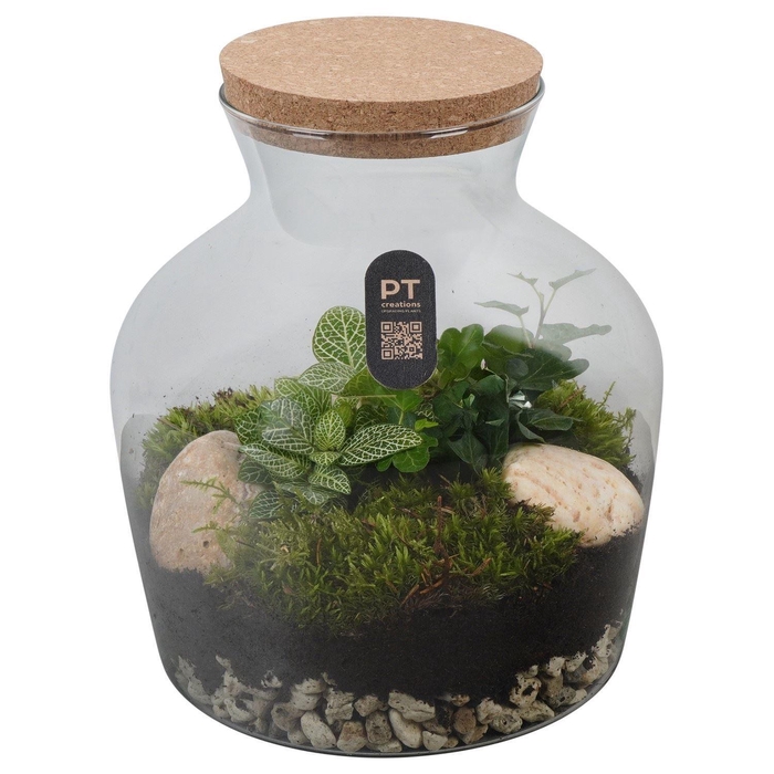 <h4>Arr.   Kamerplant Groen H%</h4>