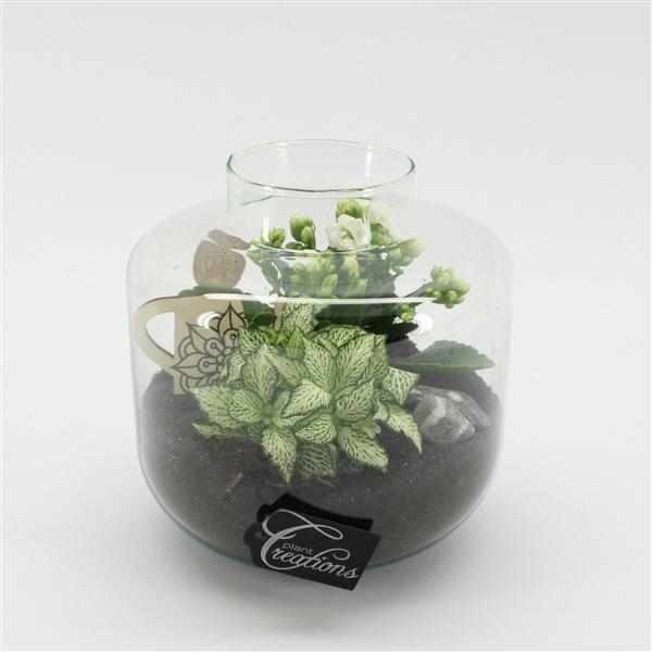 <h4>ESCR-2532W Essentials terrarium</h4>