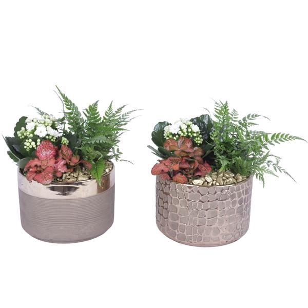 <h4>Yearround Arr. Indoor Ceramic Pure Luxury N568 Ø17cm 3PP</h4>